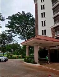 The Blossomvale (D21), Condominium #501738621